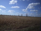 DSCF5864
