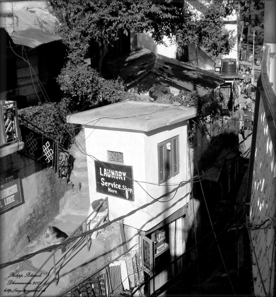 dharamsala2008_002.jpg