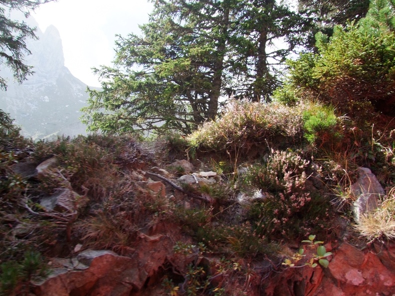 2009_0928pilatus0037.JPG