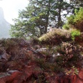 2009 0928pilatus0037