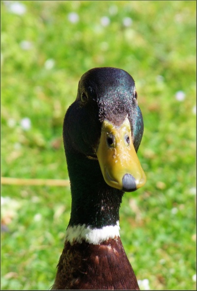 153.jpg