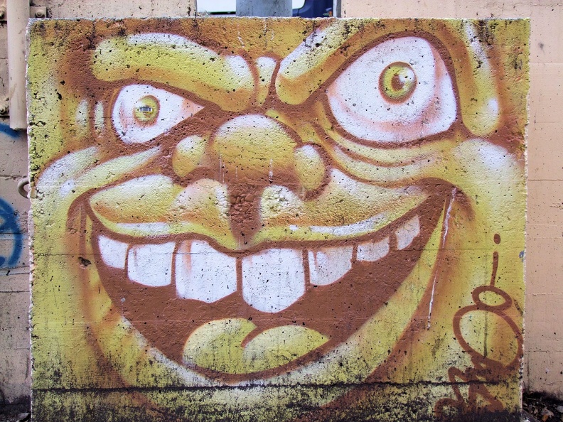 Street art Geneva (30)