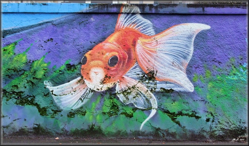 Street art Geneva (46)