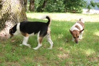 IMG 3751