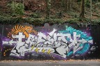 Geneva (42)